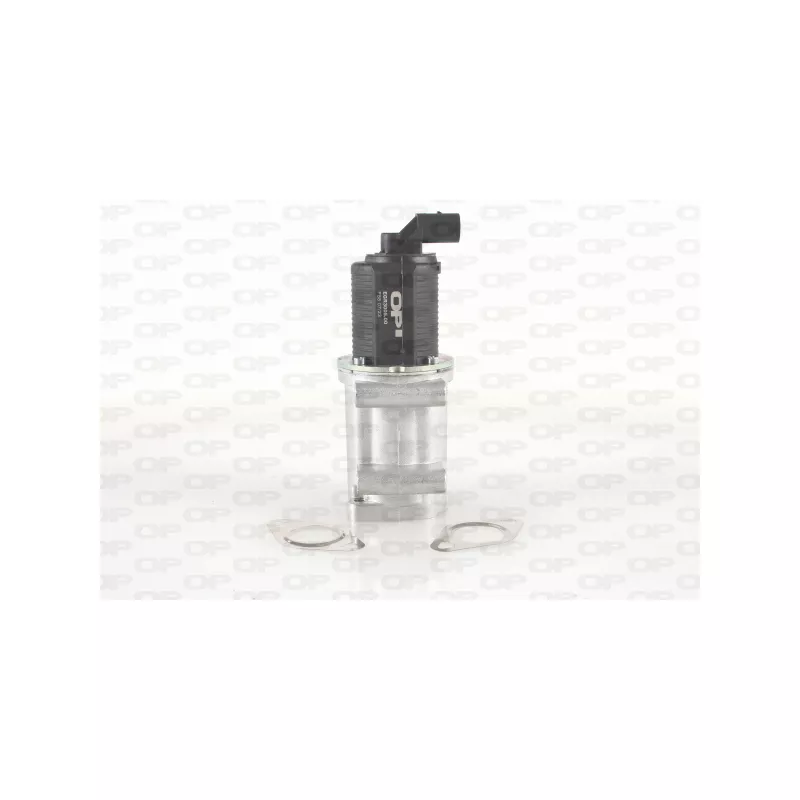 Vanne EGR OPEN PARTS EGR3005.00