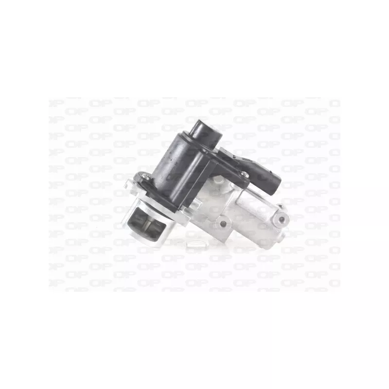 Vanne EGR OPEN PARTS EGR3006.00