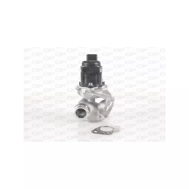 Vanne EGR OPEN PARTS EGR3007.00