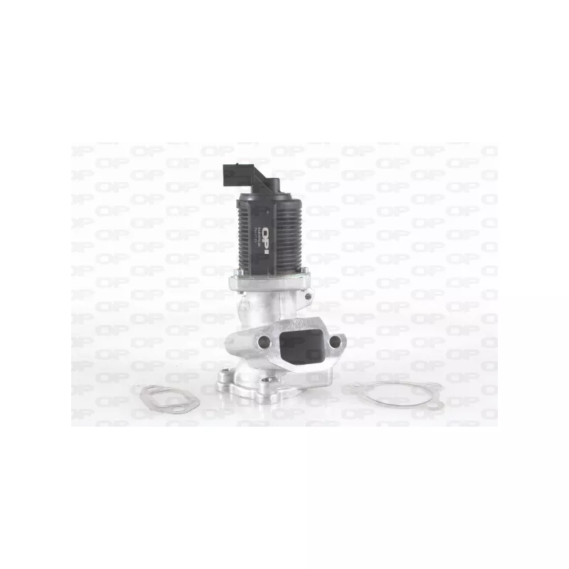 Vanne EGR OPEN PARTS EGR3010.00