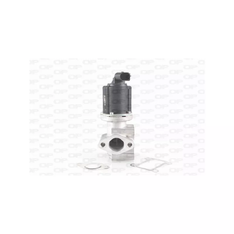 Vanne EGR OPEN PARTS EGR3017.00