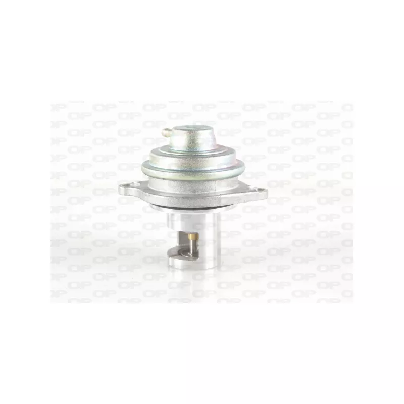 Vanne EGR OPEN PARTS EGR3021.00