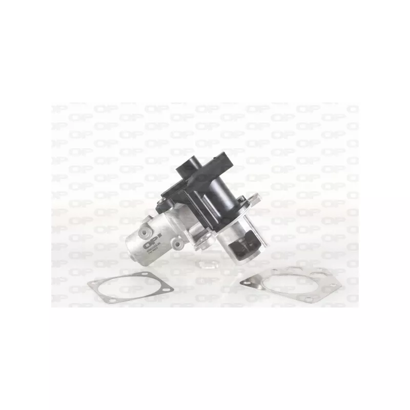 Vanne EGR OPEN PARTS EGR3022.00