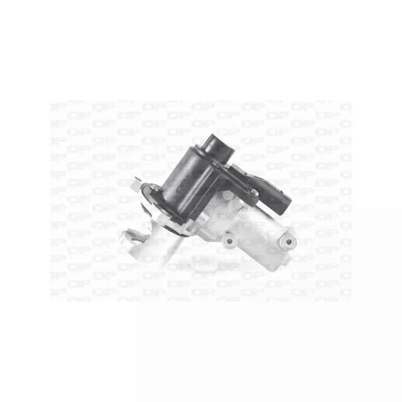 Vanne EGR OPEN PARTS EGR3023.00