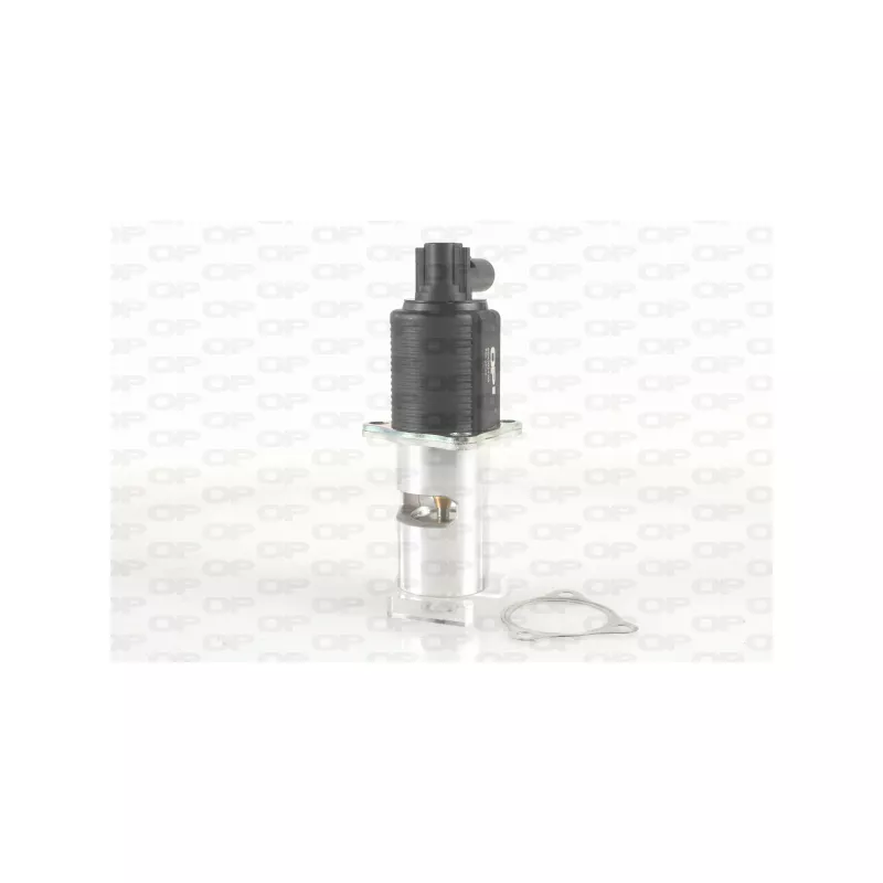 Vanne EGR OPEN PARTS EGR3024.00