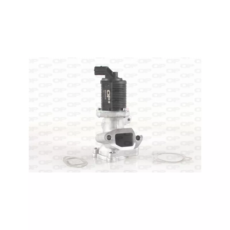 Vanne EGR OPEN PARTS EGR3025.00