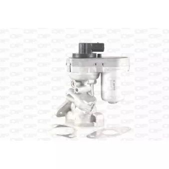 Vanne EGR OPEN PARTS EGR3029.00