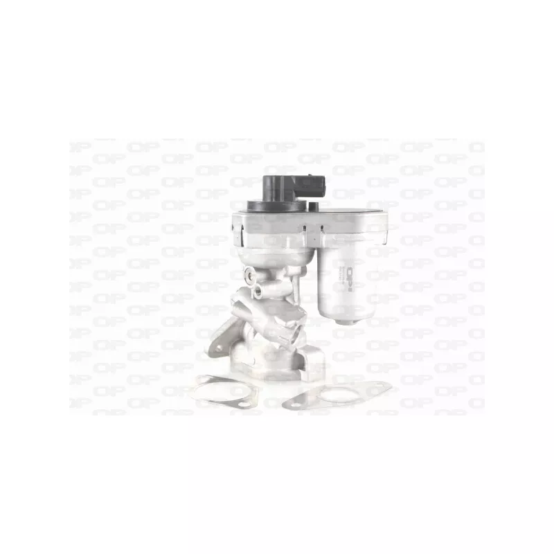 Vanne EGR OPEN PARTS EGR3029.00
