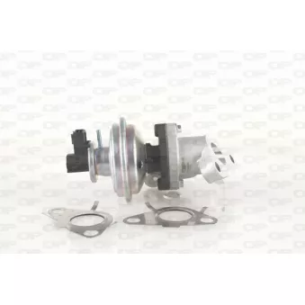 Vanne EGR OPEN PARTS