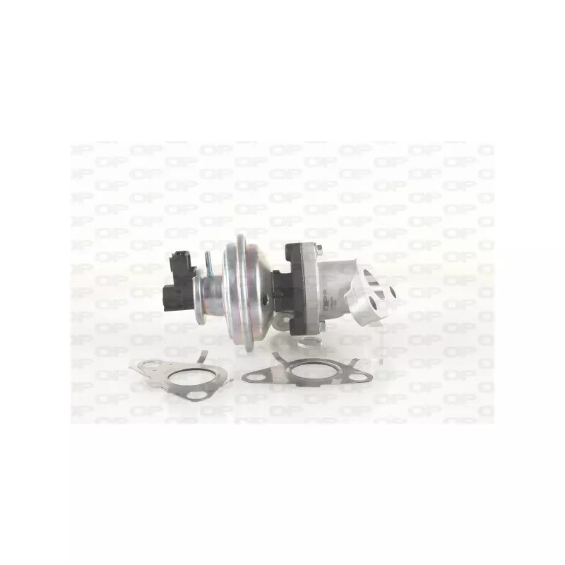 Vanne EGR OPEN PARTS EGR3032.00
