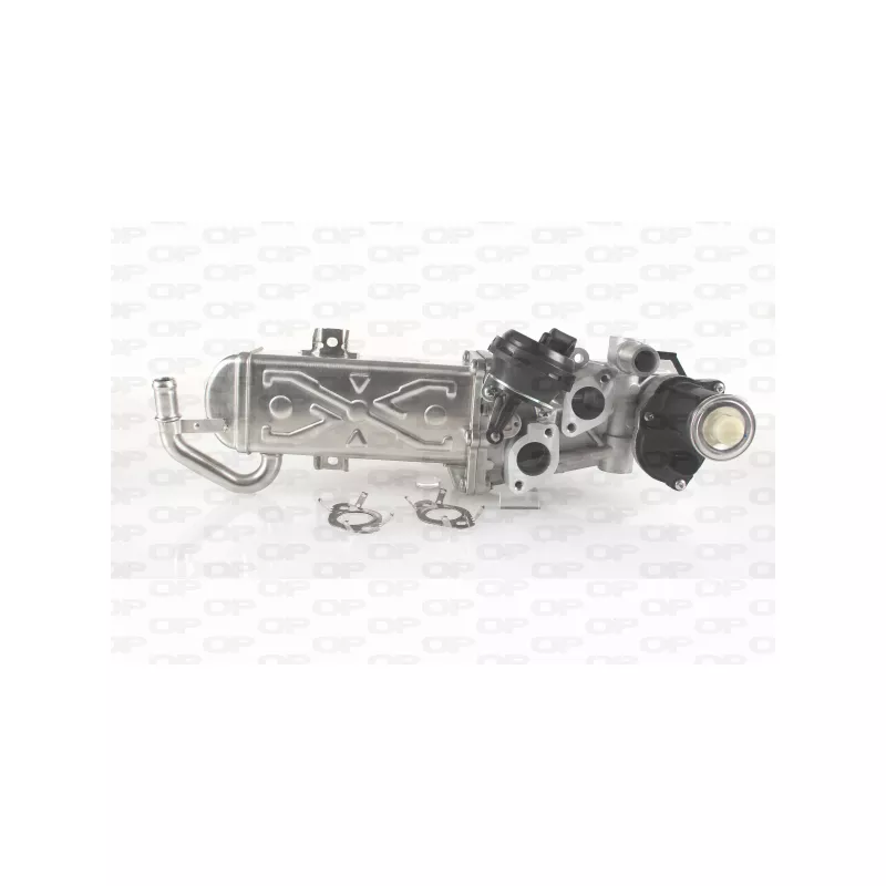 Vanne EGR OPEN PARTS EGR3035.00