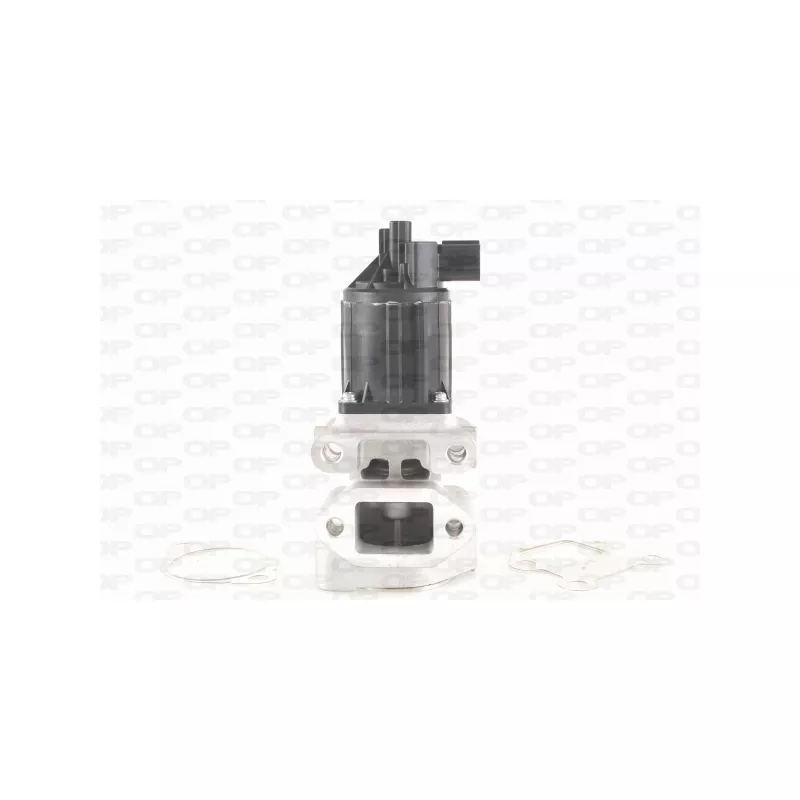 Vanne EGR OPEN PARTS EGR3037.00