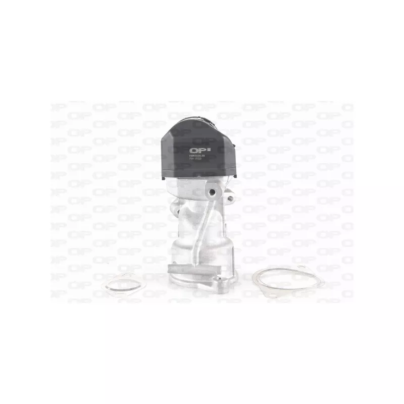 Vanne EGR OPEN PARTS EGR3038.00