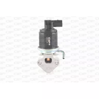 Vanne EGR OPEN PARTS EGR3041.00