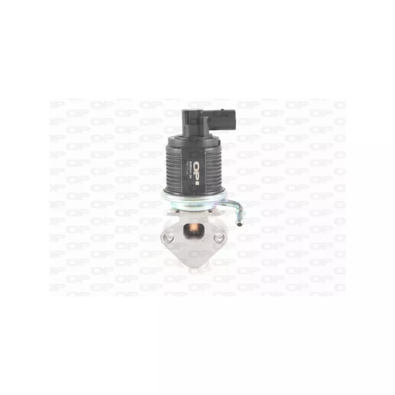 Vanne EGR OPEN PARTS EGR3041.00