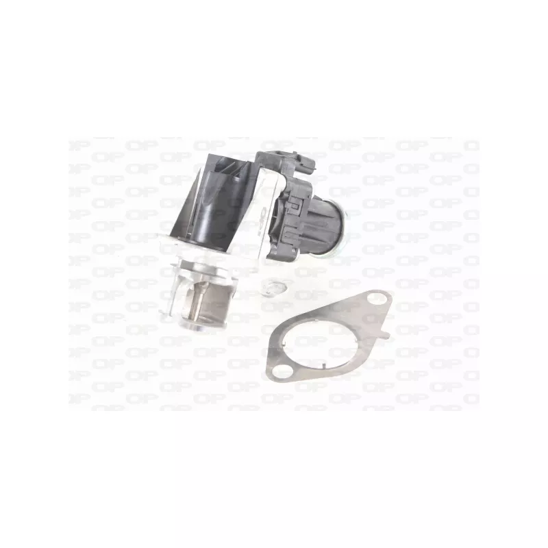 Vanne EGR OPEN PARTS EGR3043.00