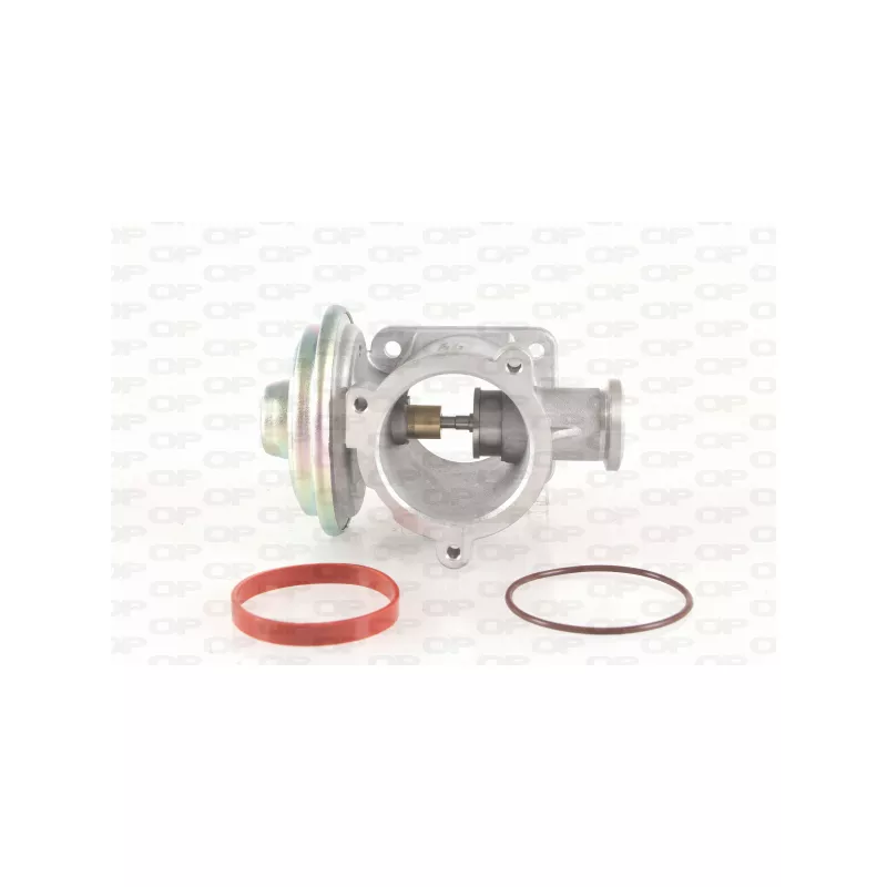 Vanne EGR OPEN PARTS EGR3051.00