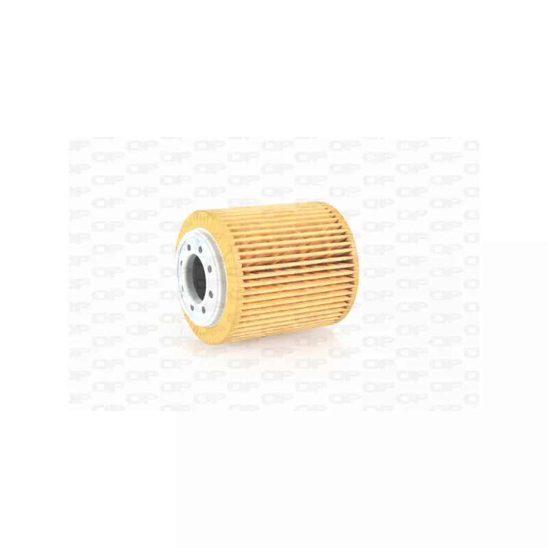 Filtre à huile OPEN PARTS EOF4252.10