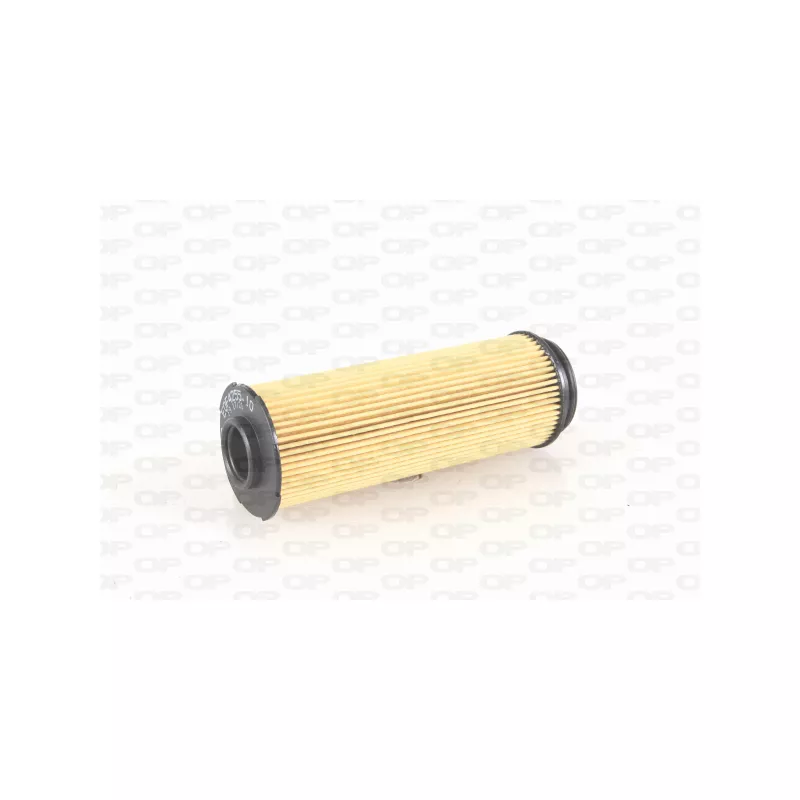 Filtre à huile OPEN PARTS EOF4255.10