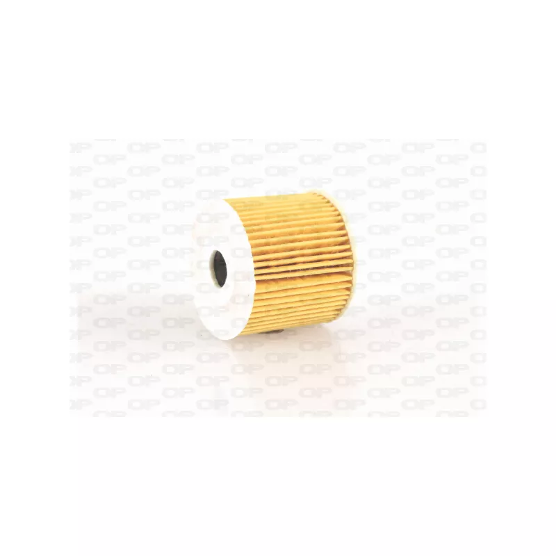 Filtre à huile OPEN PARTS EOF4266.10