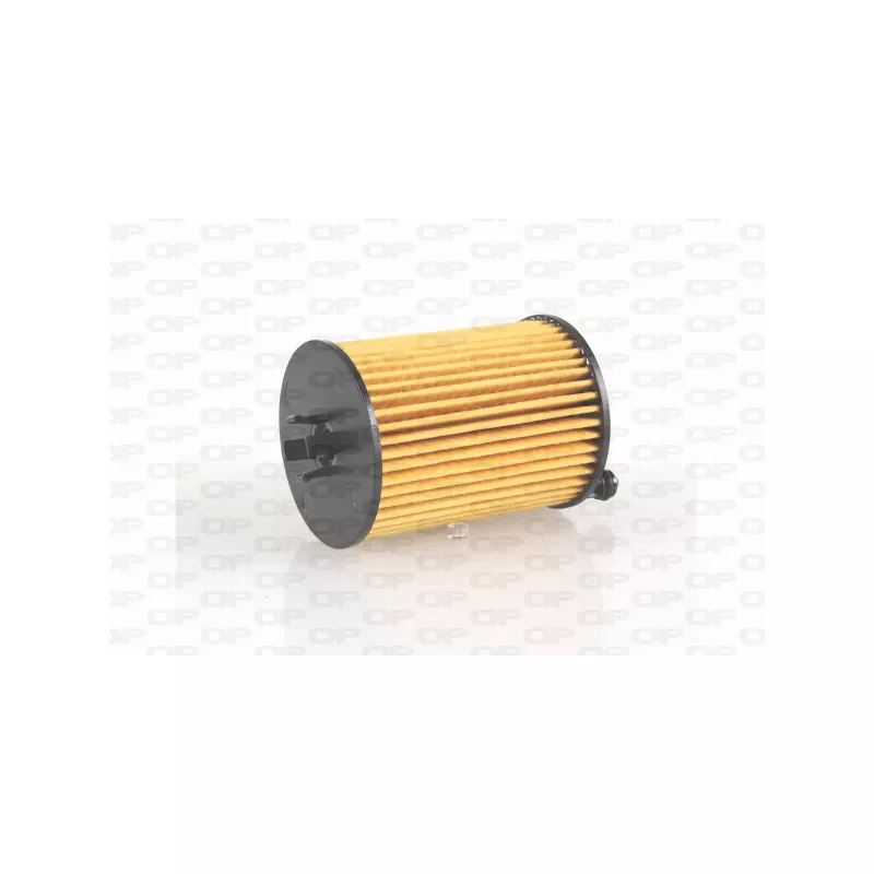 Filtre à huile OPEN PARTS EOF4269.10