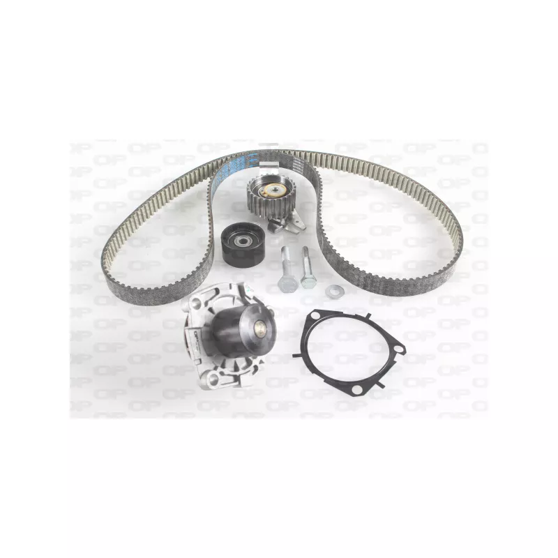 Pompe à eau + kit de courroie de distribution OPEN PARTS WTBK5029.00