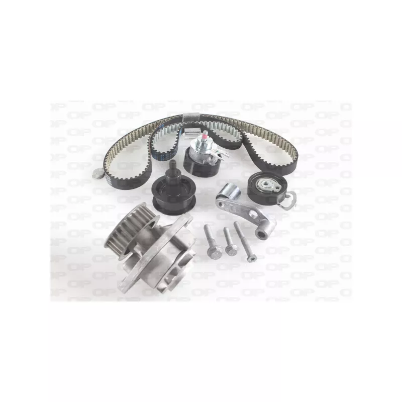 Pompe à eau + kit de courroie de distribution OPEN PARTS WTBK5031.00