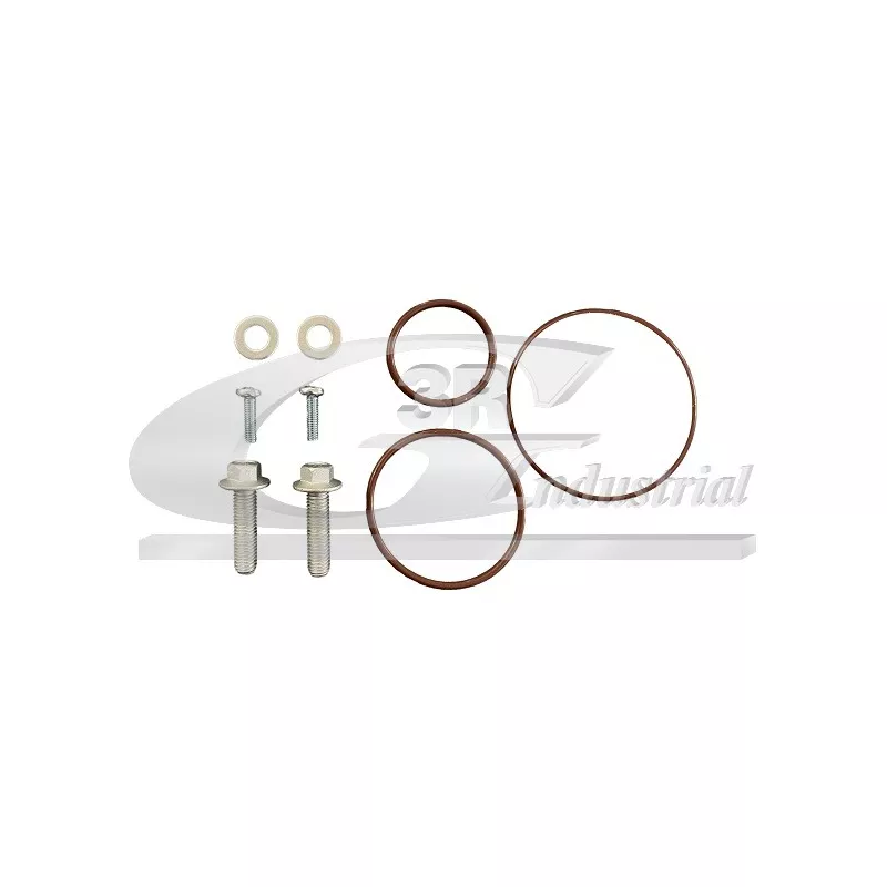 Kit de réparation, pompe à vide (freinage) 3RG 74205
