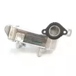 Radiateur, refroidisseur EGR OE 147350678R - Visuel 3
