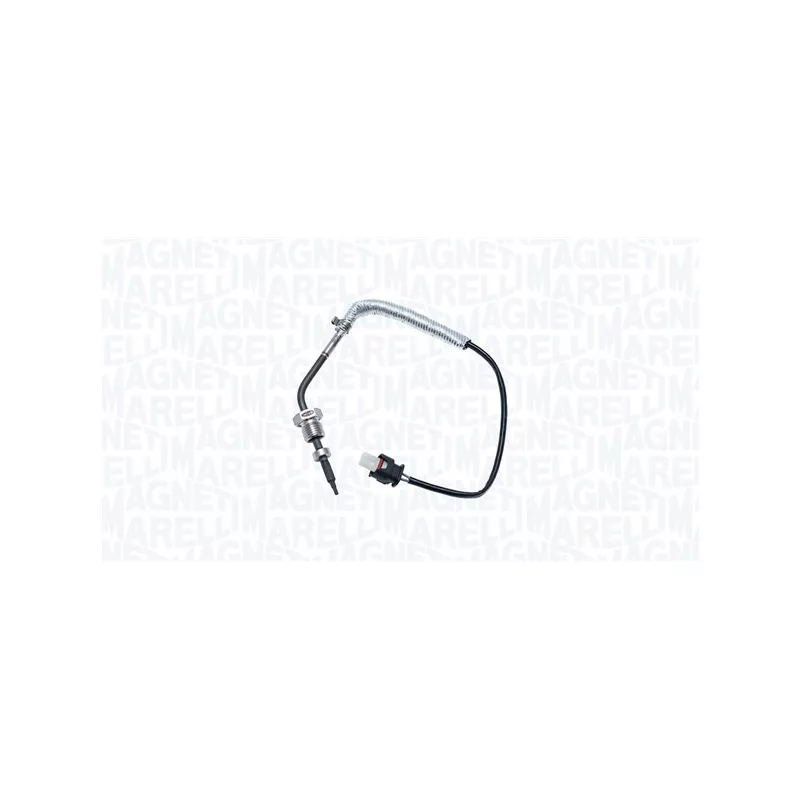 Capteur, température des gaz MAGNETI MARELLI 172000505010