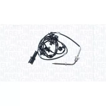 Capteur, température des gaz MAGNETI MARELLI 172000537010