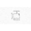 Radiateur, refroidissement du moteur MAGNETI MARELLI 350213192200 - Visuel 2