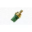 Sonde de température, liquide de refroidissement MAGNETI MARELLI 816001633701 - Visuel 2