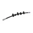 Flexible de frein CORTECO 19034273 - Visuel 1