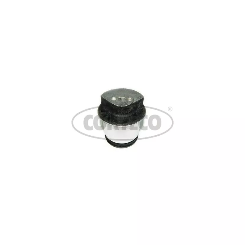 Suspension, corps de l'essieu CORTECO 49102453
