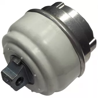 Support moteur CORTECO 49115915