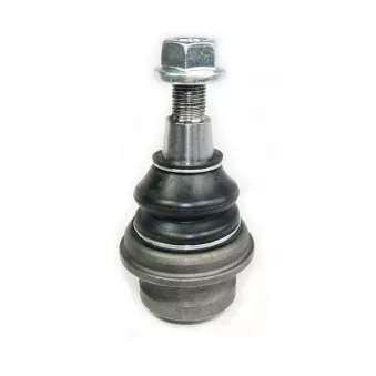 Rotule de suspension CORTECO 49120348