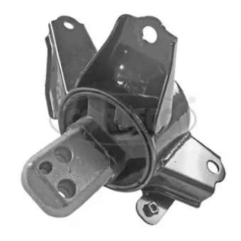 Support moteur CORTECO 49359093