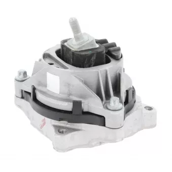 Support moteur CORTECO 49361891