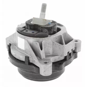 Support moteur CORTECO 49393187