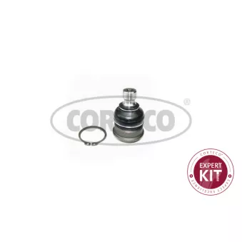 Rotule de suspension CORTECO 49395942