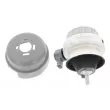 Support moteur CORTECO 49446190 - Visuel 1
