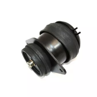 Support moteur arrière droit AUTOMEGA