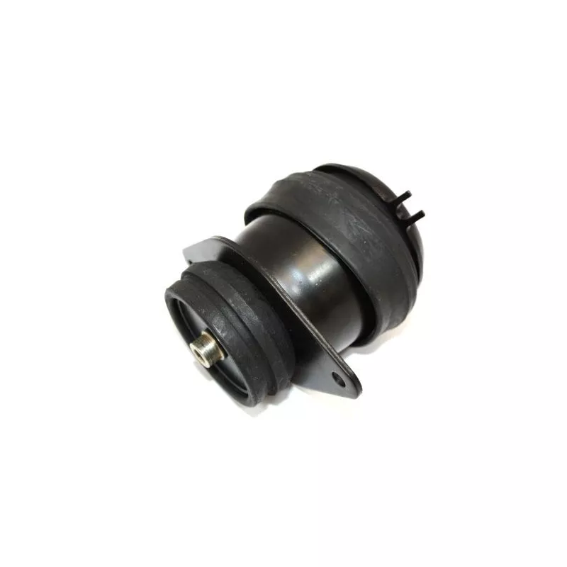 Support moteur arrière droit AUTOMEGA 130028010