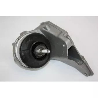 Support moteur AUTOMEGA 130029110