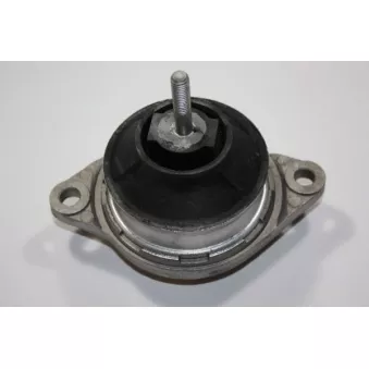 Support moteur AUTOMEGA 130029310