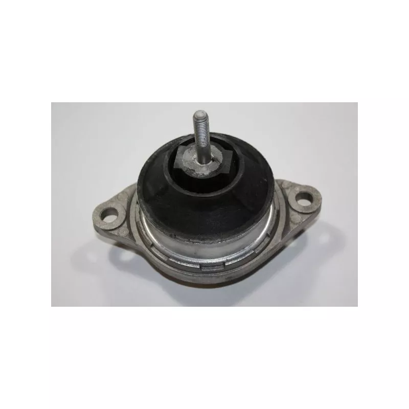 Support moteur AUTOMEGA 130029310