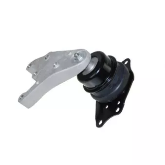 Support moteur AUTOMEGA 130055210