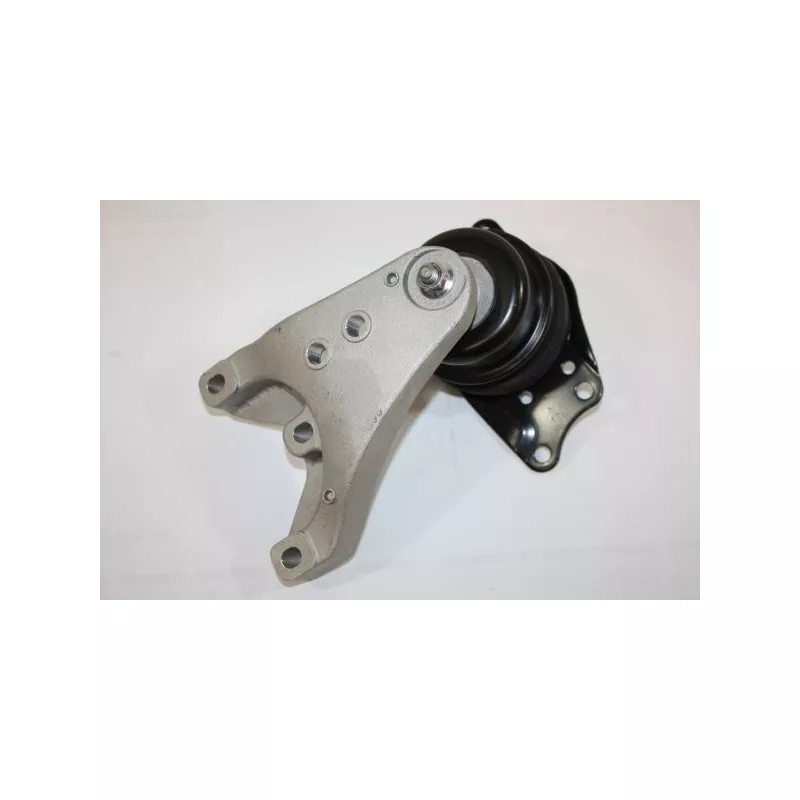 Support moteur AUTOMEGA 130055610