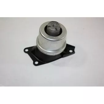 Support moteur AUTOMEGA 130055810